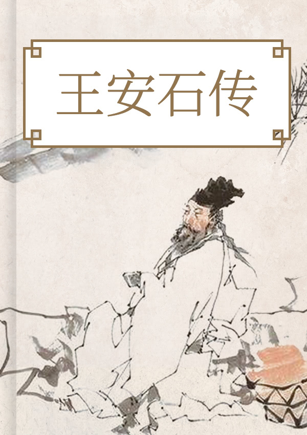 王安石传