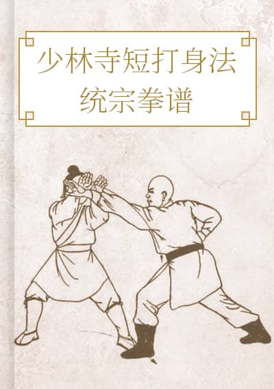 少林寺短打身法统宗拳谱