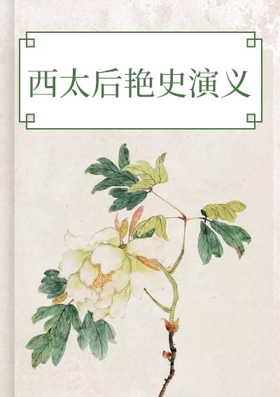 西太后艳史演义