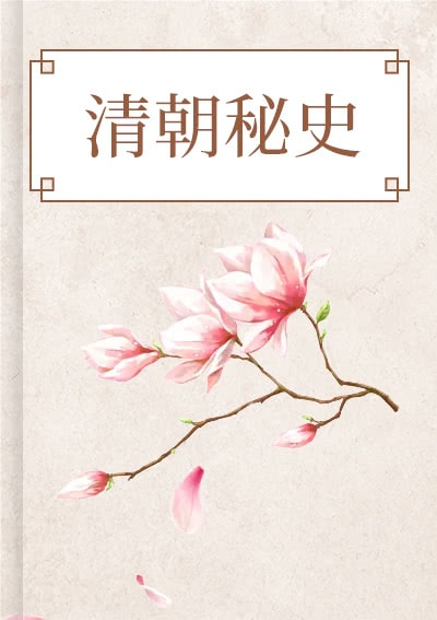 清朝秘史